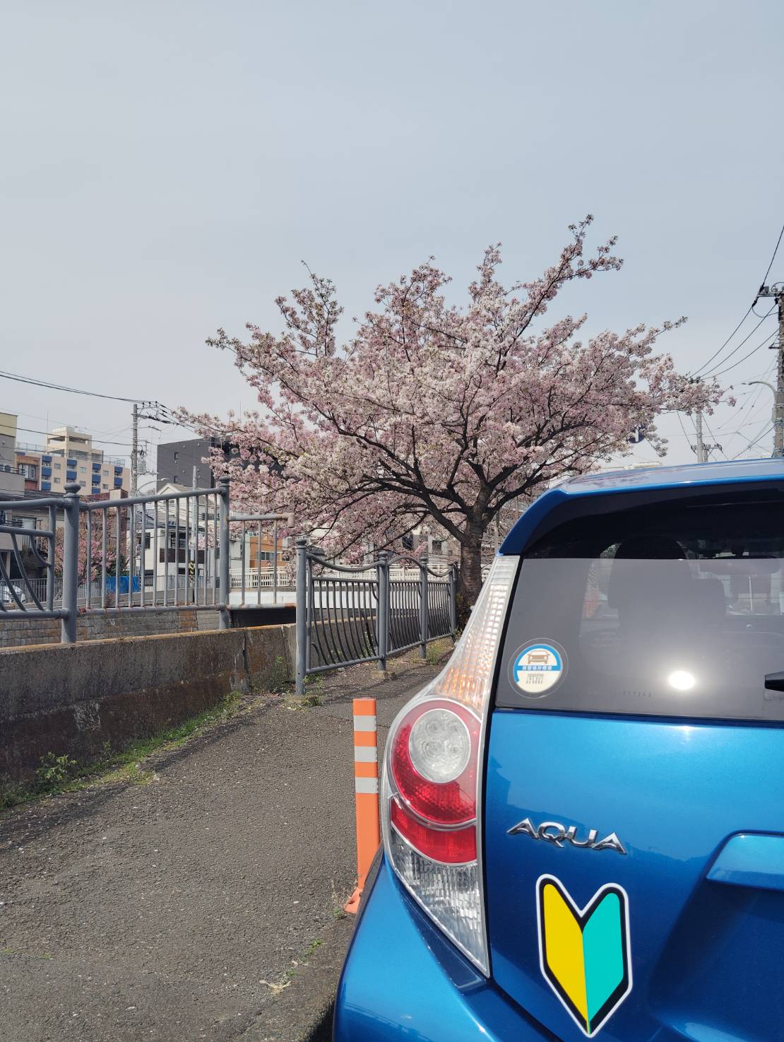 横浜市での一時停止ポイント